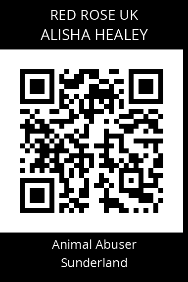 QR code for alisha-healey