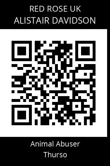 QR code for alistair-davidson