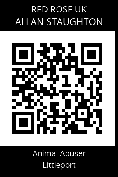 QR code for allan-staughton