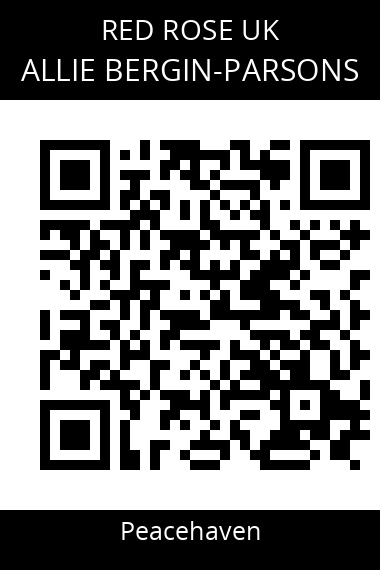 QR code for allie-bergin-parsons