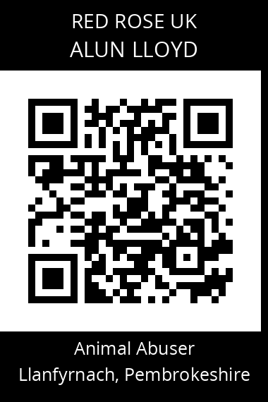 QR code for alun-lloyd