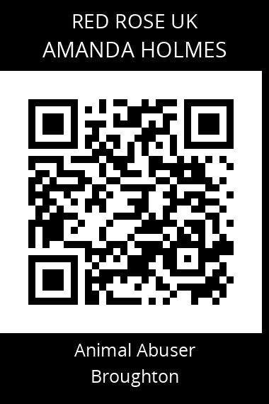 QR code for amanda-holmes