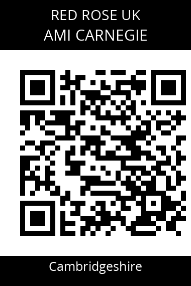 QR code for ami-carnegie-s1niw3