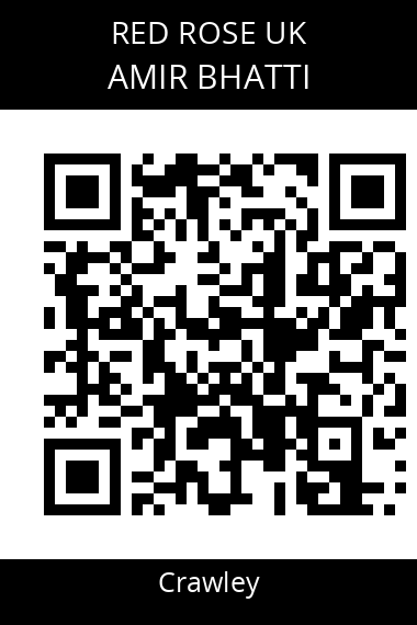 QR code for amir-bhatti-p2aoi3