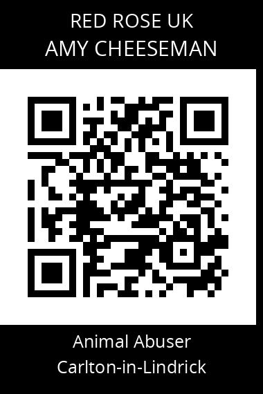 QR code for amy-cheeseman