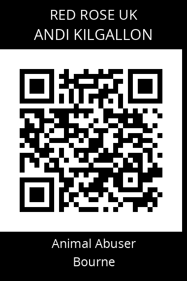QR code for andi-kilgallon