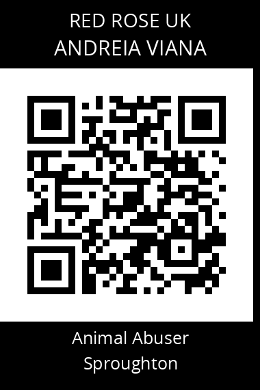 QR code for andreia-viana