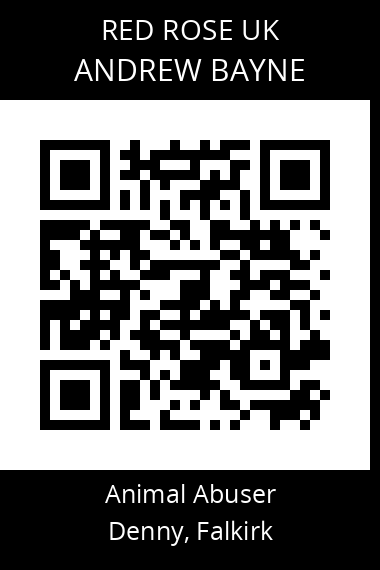 QR code for andrew-bayne-1