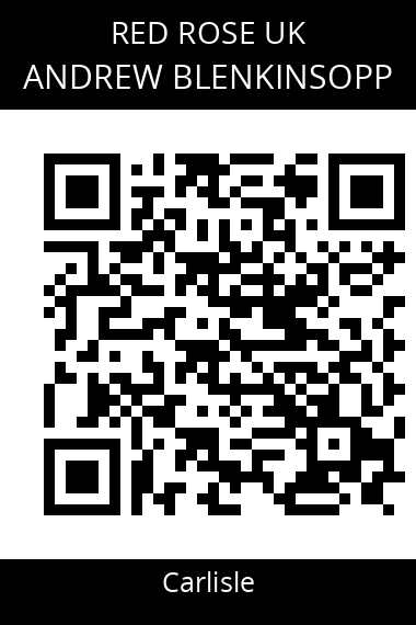 QR code for andrew-blenkinsopp