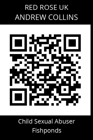 QR code for andrew-collins
