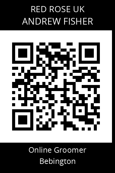 QR code for andrew-fisher-4