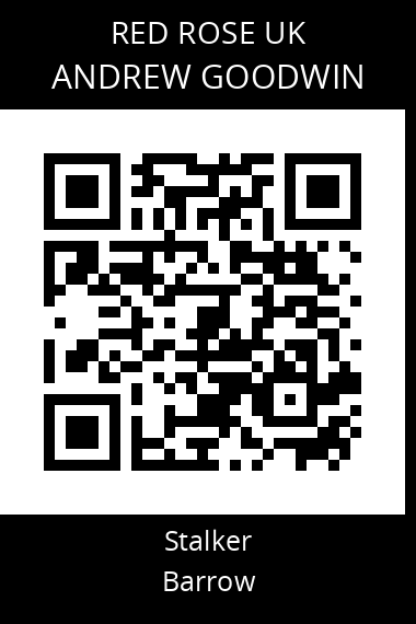 QR code for andrew-goodwin-1