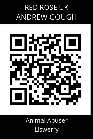 QR code for andrew-gough