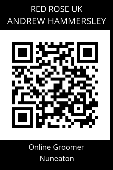 QR code for andrew-hammersley