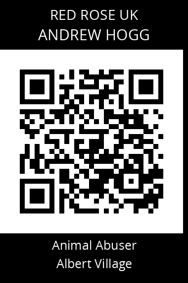 QR code for andrew-hogg