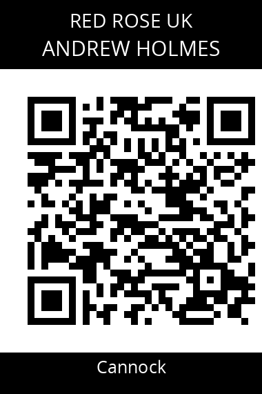 QR code for andrew-holmes-lya1nm