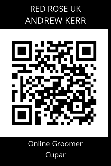QR code for andrew-kerr-5