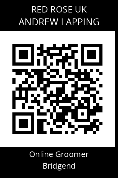 QR code for andrew-lapping