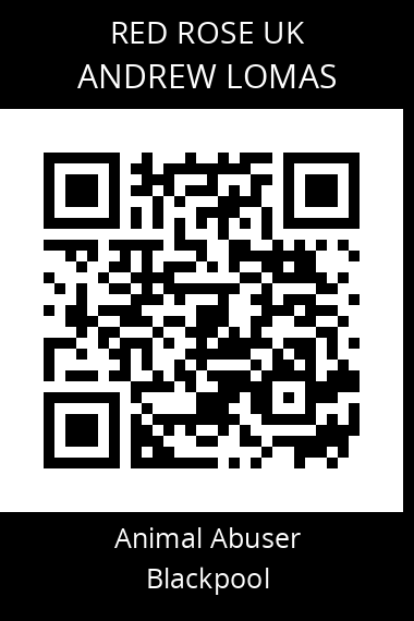 QR code for andrew-lomas