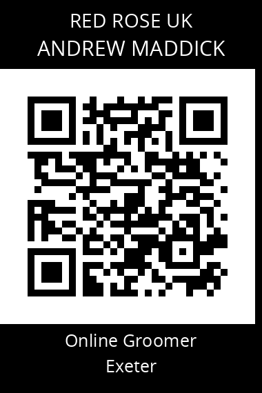 QR code for andrew-maddick