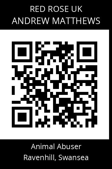 QR code for andrew-matthews-6