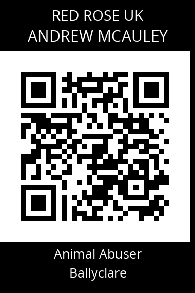 QR code for andrew-mcauley
