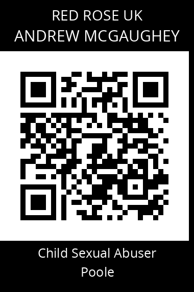 QR code for andrew-mcgaughey