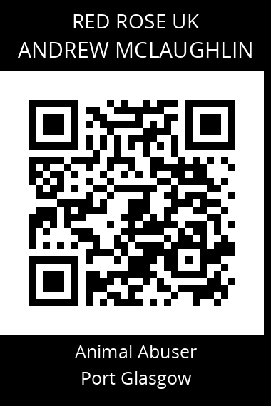 QR code for andrew-mclaughlin
