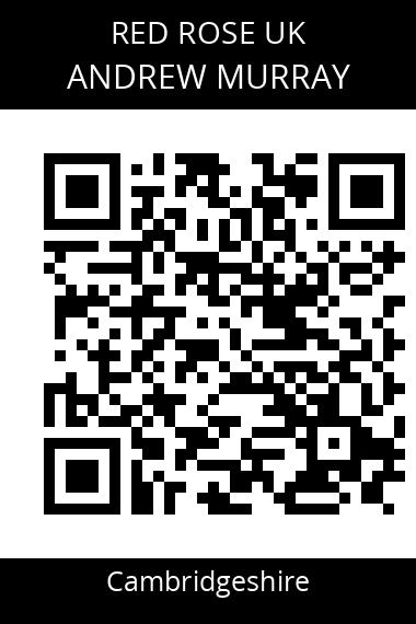 QR code for andrew-murray-pk42rn