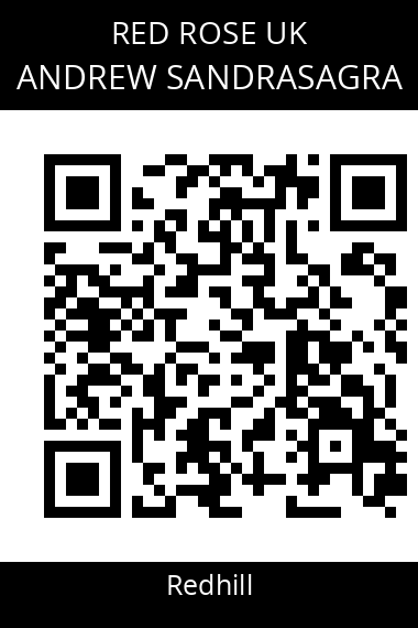 QR code for andrew-sandrasagra