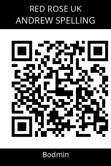 QR code for andrew-spelling-d11xwr