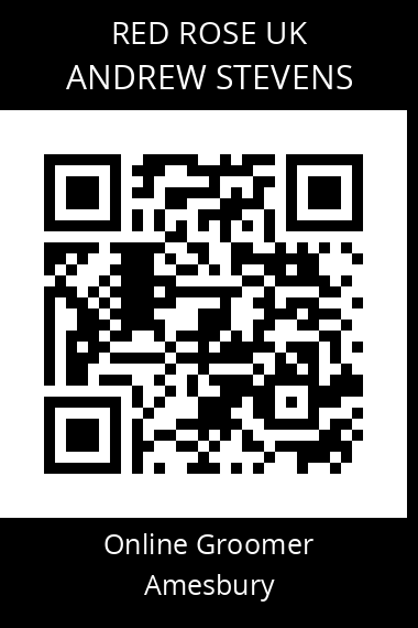 QR code for andrew-stevens-4