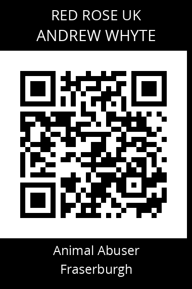 QR code for andrew-whyte