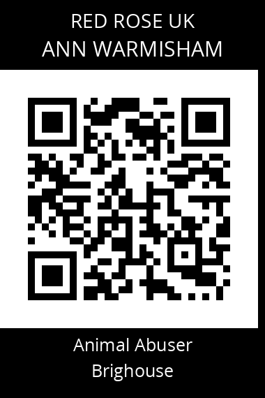 QR code for ann-warmisham