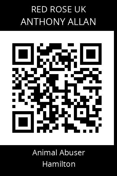QR code for anthony-allan