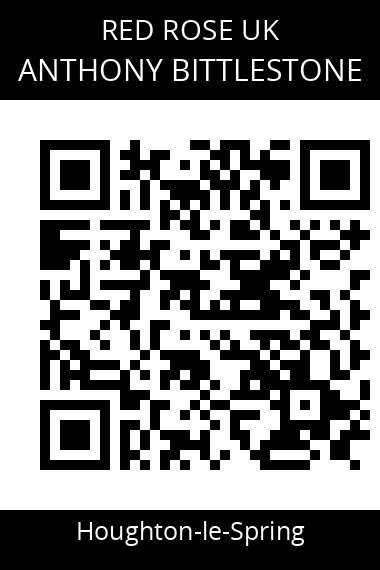 QR code for anthony-bittlestone