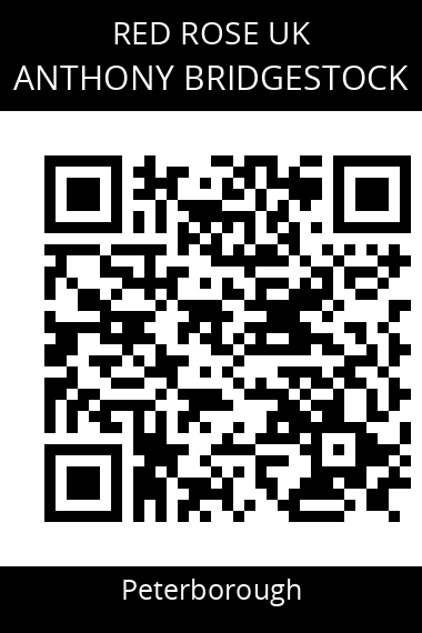 QR code for anthony-bridgestock