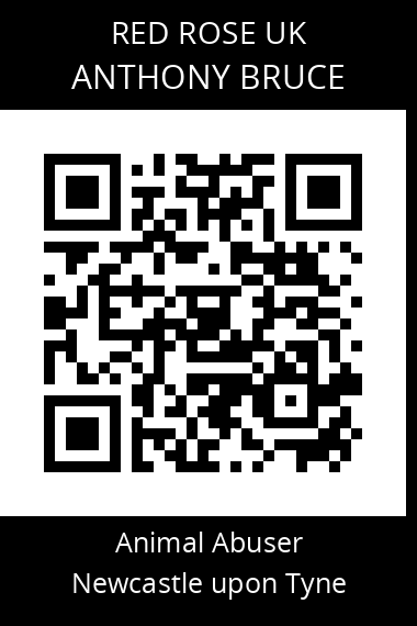 QR code for anthony-bruce