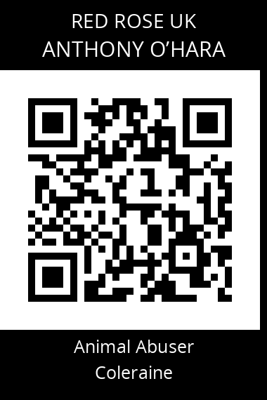 QR code for anthony-ohara
