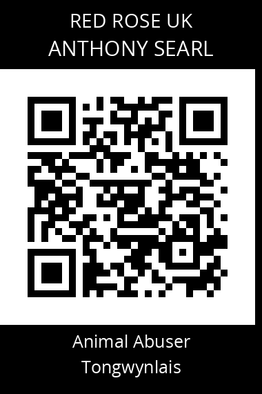 QR code for anthony-searl