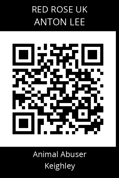 QR code for anton-lee