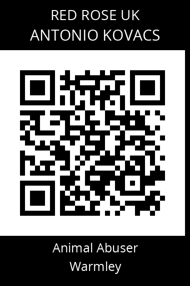 QR code for antonio-kovacs