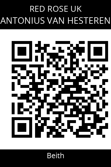 QR code for antonius-van-hesteren
