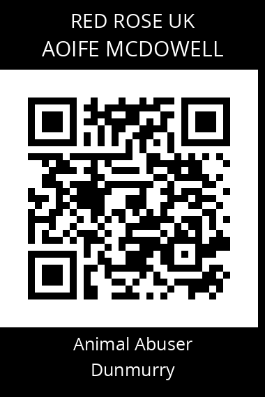 QR code for aoife-mcdowell