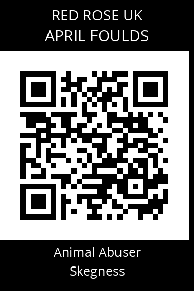 QR code for april-foulds