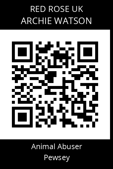 QR code for archie-watson