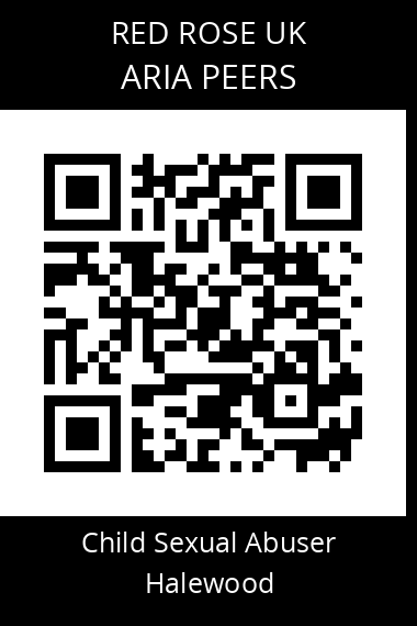 QR code for aria-peers-2