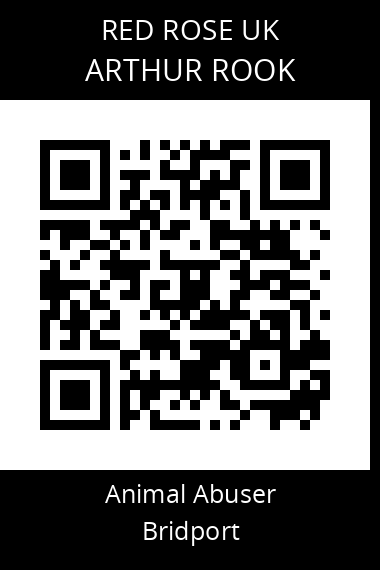 QR code for arthur-rook