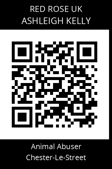 QR code for ashleigh-kelly