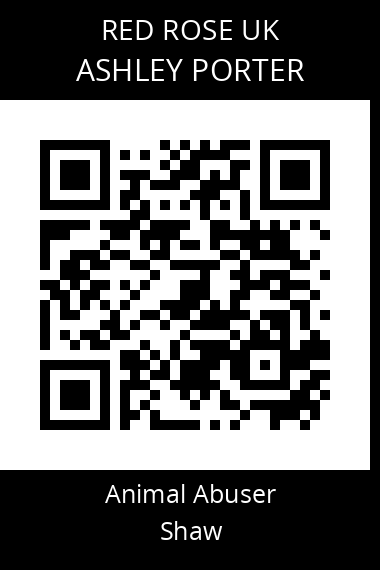 QR code for ashley-porter-1